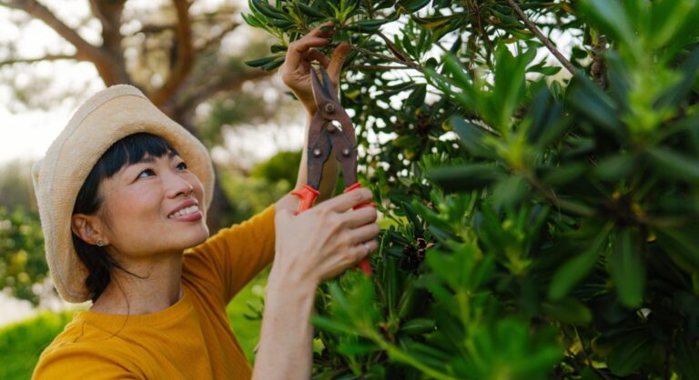 Clean garden pruning shears with basic cleaning tools on a wooden surface.